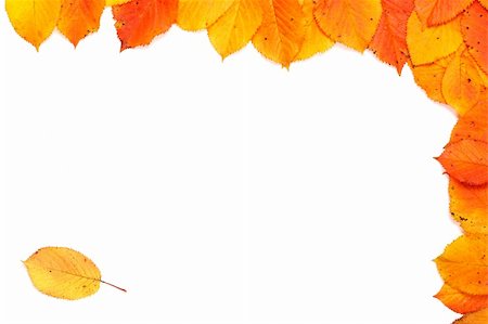 falling green leaves white background - Colorful autumn corner made from leaves with soft shadow, on white background Stock Photo - Budget Royalty-Free & Subscription, Code: 400-03942599