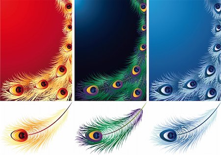 simsearch:400-03968548,k - Vector illustration - peacock, phoenix and ice bird feather Stock Photo - Budget Royalty-Free & Subscription, Code: 400-03954409