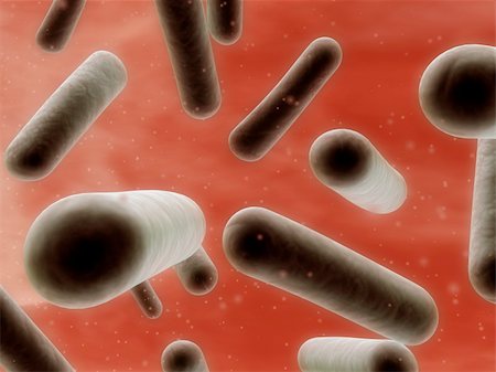 simsearch:400-05016219,k - 3d rendered close up of bacteria Stock Photo - Budget Royalty-Free & Subscription, Code: 400-03954587