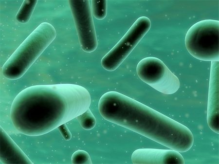simsearch:400-05016219,k - 3d rendered close up of bacteria Stock Photo - Budget Royalty-Free & Subscription, Code: 400-03954589