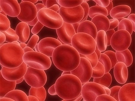 simsearch:400-03954634,k - 3d rendered close up of many streaming red blood cells Stock Photo - Budget Royalty-Free & Subscription, Code: 400-03954608