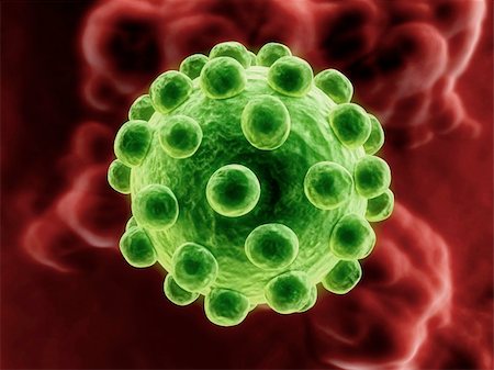 simsearch:400-05016219,k - 3d rendered illustration of an isolated virus Stock Photo - Budget Royalty-Free & Subscription, Code: 400-03954616
