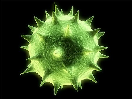 simsearch:400-03954634,k - 3d rendered illustration of an isolated virus Stock Photo - Budget Royalty-Free & Subscription, Code: 400-03954618