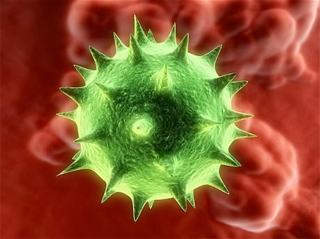 simsearch:400-05016219,k - 3d rendered illustration of an isolated virus Stock Photo - Budget Royalty-Free & Subscription, Code: 400-03954619