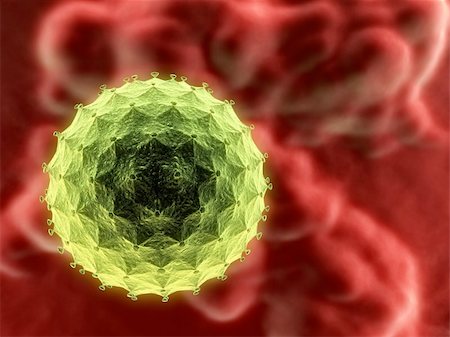 simsearch:400-03954634,k - 3d rendered illustration of an isolated virus Stock Photo - Budget Royalty-Free & Subscription, Code: 400-03954621