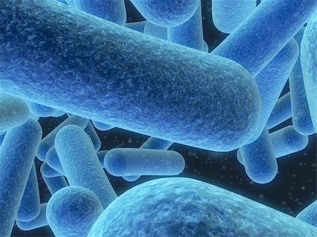 simsearch:400-04191296,k - 3d rendered close up of blue bacteria Foto de stock - Super Valor sin royalties y Suscripción, Código: 400-03954634