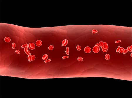 simsearch:400-04191296,k - 3d rendered anatomy illustration of an artery with streaming blood Foto de stock - Super Valor sin royalties y Suscripción, Código: 400-03954848
