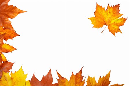 simsearch:696-03394776,k - Colorful autumn corner made from leaves, isolated on white background Photographie de stock - Aubaine LD & Abonnement, Code: 400-03950885