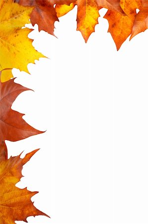 simsearch:696-03394776,k - Colorful autumn corner made from leaves, isolated on white background Photographie de stock - Aubaine LD & Abonnement, Code: 400-03951157