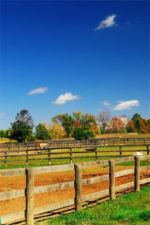 Rural farm landscape in early fall in Ontario, Canada Stock Photo - Budget Royalty-Free & Subscription, Code: 400-03951340