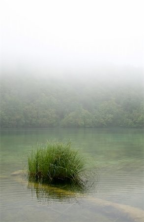 simsearch:400-04756224,k - Landscape of a peaceful  river on a foggy day Stock Photo - Budget Royalty-Free & Subscription, Code: 400-03951501