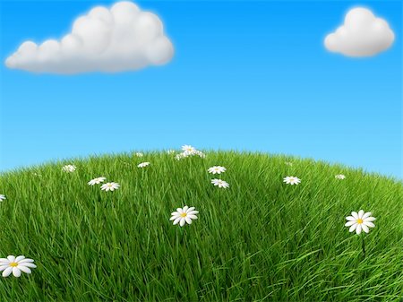 3d rendered illustration of a green hill with flowers Stock Photo - Budget Royalty-Free & Subscription, Code: 400-03952241