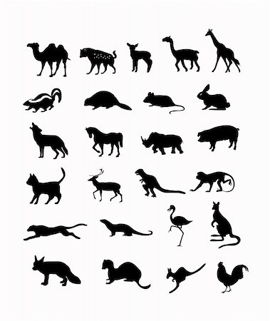 simsearch:400-04280168,k - wild animals vector illustration background in black Stock Photo - Budget Royalty-Free & Subscription, Code: 400-03965203