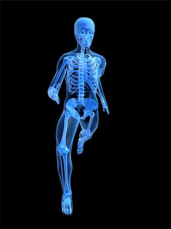 3d rendered anatomy illustration of a running skeleton Stock Photo - Budget Royalty-Free & Subscription, Code: 400-03966297