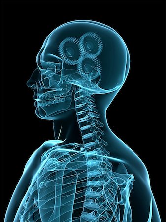 3d rendered x-ray illustration of a human head with gears Stock Photo - Budget Royalty-Free & Subscription, Code: 400-03967203