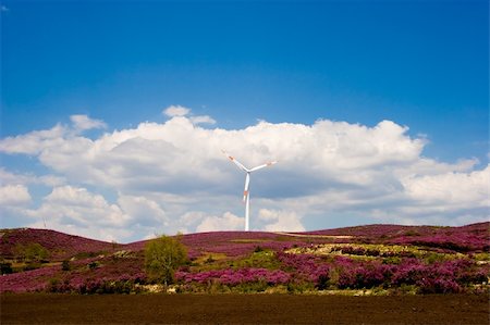 simsearch:400-05319608,k - Wind Turbine on a rural field Stock Photo - Budget Royalty-Free & Subscription, Code: 400-03969854