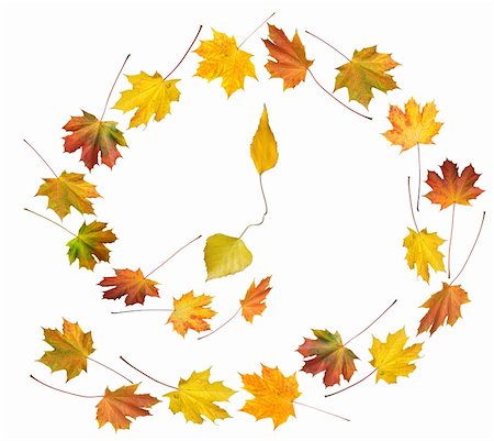 Clock shape make by colorful autumn maple and birch leafs isolated white (autumnal time round dance) Stock Photo - Budget Royalty-Free & Subscription, Code: 400-03969979