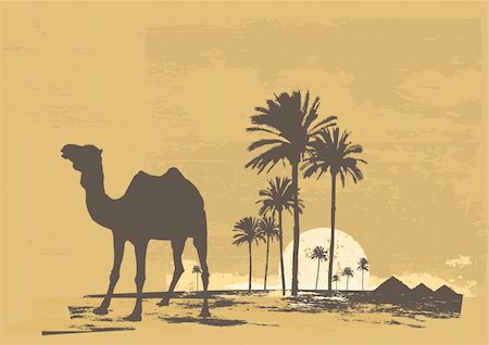 Vector illustration of  sunset in african desert. Camel and palms on grunge background Stock Photo - Budget Royalty-Free & Subscription, Code: 400-03961291