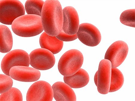 simsearch:400-05016219,k - 3d rendered illustration of some red blood cells Stock Photo - Budget Royalty-Free & Subscription, Code: 400-03961497
