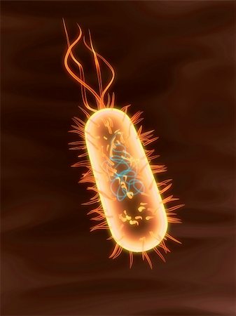 simsearch:400-03954634,k - 3d rendered close up of an isolated bacterium Stock Photo - Budget Royalty-Free & Subscription, Code: 400-03961689