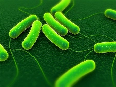 3d rendered close up of some coli bacteria Stock Photo - Budget Royalty-Free & Subscription, Code: 400-03961818