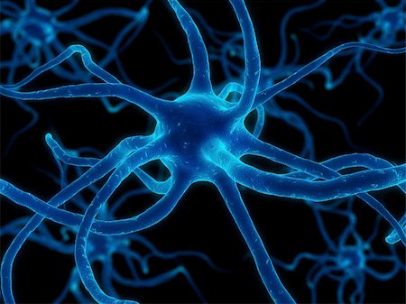 3d rendered close up of isolated nerve cells Stock Photo - Budget Royalty-Free & Subscription, Code: 400-03961839