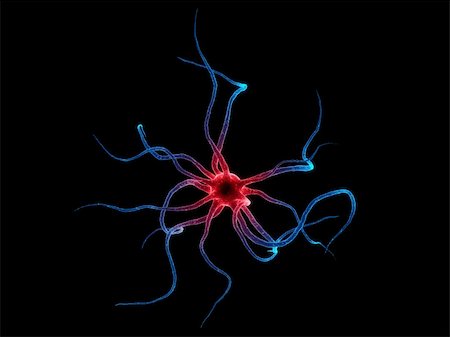 3d rendered close up of an active nerve cell Foto de stock - Super Valor sin royalties y Suscripción, Código: 400-03961844