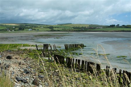 Scenic view of a beach in Southern Ireland Stock Photo - Budget Royalty-Free & Subscription, Code: 400-03976498