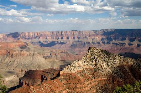 Views of The Grand Canyon, North Rim Stock Photo - Budget Royalty-Free & Subscription, Code: 400-03976521