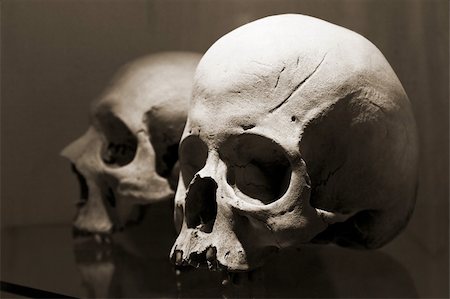 simsearch:400-03971352,k - Skulls in Kutna Hora ossuary, Czech Republic. The inner decoration in this church is made of human bones. Foto de stock - Super Valor sin royalties y Suscripción, Código: 400-03971352