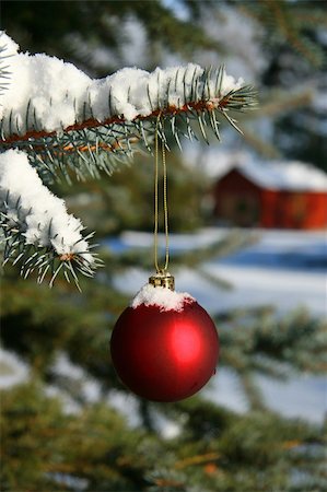 simsearch:632-06404194,k - Red Christmas ball hanging on pine branch Foto de stock - Super Valor sin royalties y Suscripción, Código: 400-03971408