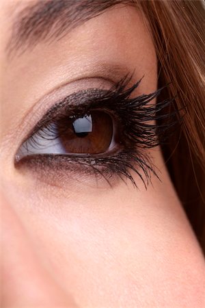 simsearch:400-04751617,k - detail of a made up brown eye and brow Stock Photo - Budget Royalty-Free & Subscription, Code: 400-03998074