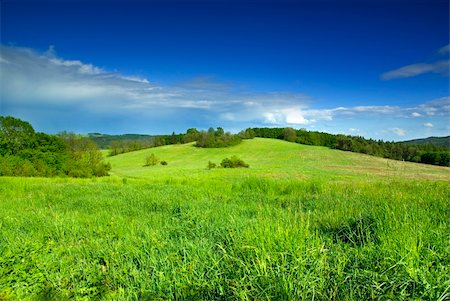 simsearch:400-05362449,k - Photo of meadow in sunny day. Stock Photo - Budget Royalty-Free & Subscription, Code: 400-03999125