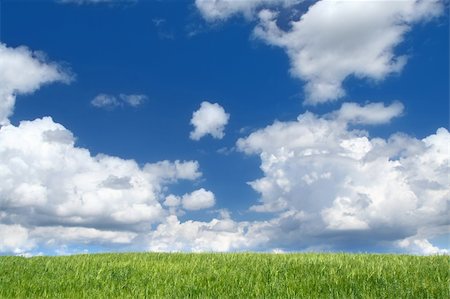 simsearch:400-03991406,k - field with cumulus clouds, focus set in foreground Stock Photo - Budget Royalty-Free & Subscription, Code: 400-03990167