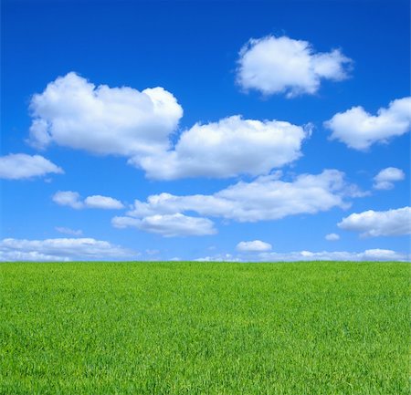 simsearch:400-03991406,k - empty summer meadow against summrer sky with cumulus clouds Stock Photo - Budget Royalty-Free & Subscription, Code: 400-03991406