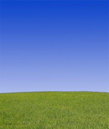 simsearch:400-03991406,k - peaceful grassland scenic Stock Photo - Budget Royalty-Free & Subscription, Code: 400-03992118