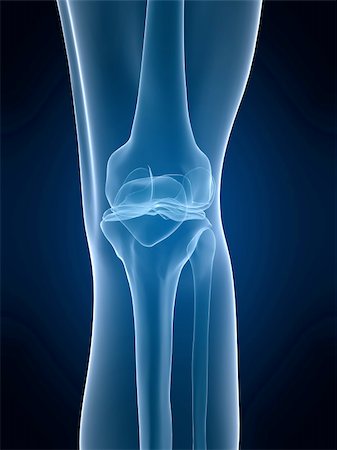 skull xray - 3d rendered x-ray illustration of a human skeletal knee Stock Photo - Budget Royalty-Free & Subscription, Code: 400-03993651