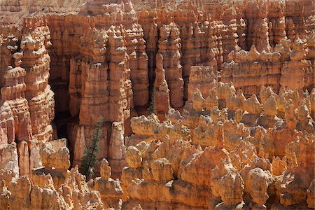 escarpment - Bryce Canyon National Park, Utah, USA Stock Photo - Premium Royalty-Free, Code: 600-04223531