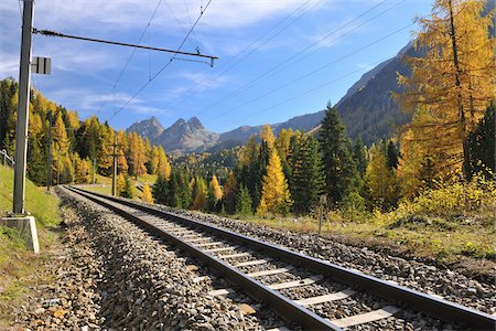 subalpine larch - Railroad Tracks in Autumn, Preda, Albula Pass, Grisons, Switzerland Stock Photo - Premium Royalty-Free, Code: 600-05524268