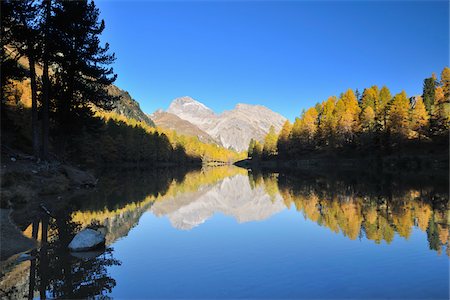 subalpine larch - Lai da Palpuogna in Autumn, Albula Pass, Bergun, Grisons, Switzerland Stock Photo - Premium Royalty-Free, Code: 600-05524261