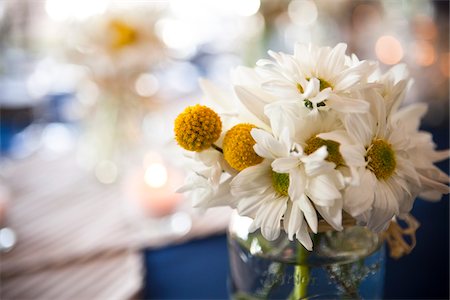 Close-up of Daisies in Vase, Wedding Decorations, Muskoka, Ontario, Canada Stock Photo - Premium Royalty-Free, Code: 600-05641651