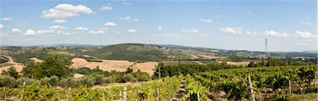 scenic and panoramic - Vineyard, Tuscany, Italy Stock Photo - Premium Royalty-Free, Code: 600-05756287