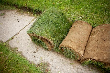 Rolls of Sod on Path, Toronto, Ontario, Canada Stock Photo - Premium Royalty-Free, Code: 600-05800603