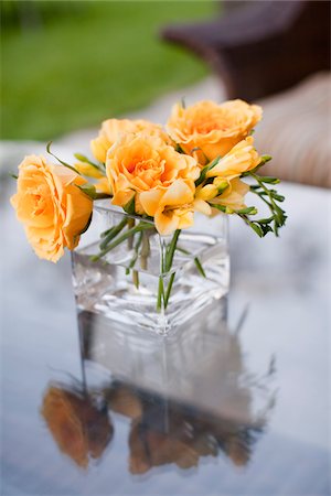 simsearch:600-05602737,k - Roses in Vase, Muskoka, Ontario, Canada Stock Photo - Premium Royalty-Free, Code: 600-05803364