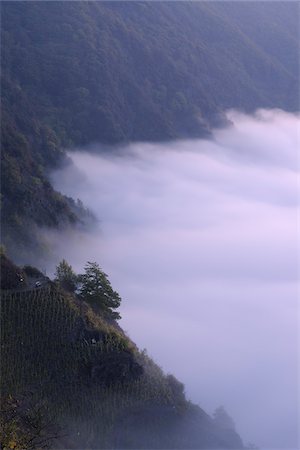 simsearch:600-05821942,k - Fog, Moselle River, Mosel Valley, Cochem-Zell, Rhineland-Palatinate, Germany Stock Photo - Premium Royalty-Free, Code: 600-05821954