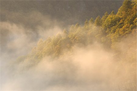 saar loop - Fog, Trees and Hill, View From Cloef, Mettlach, Merzig-Wadern, Saarland, Germany Foto de stock - Sin royalties Premium, Código: 600-05821951