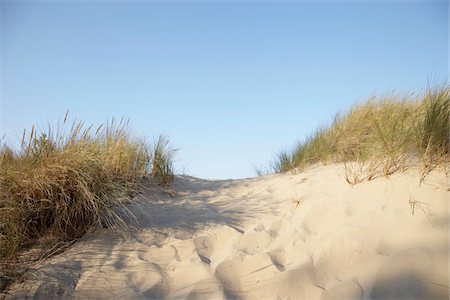 Sand Dunes, Biscarrosse, Landes, Aquitaine, France Stock Photo - Premium Royalty-Free, Code: 600-05854204