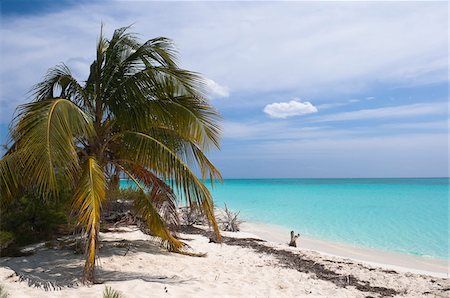 simsearch:600-05947914,k - Beach, Cayo Largo, Canarreos Archipelago, Cuba Stock Photo - Premium Royalty-Free, Code: 600-05854933