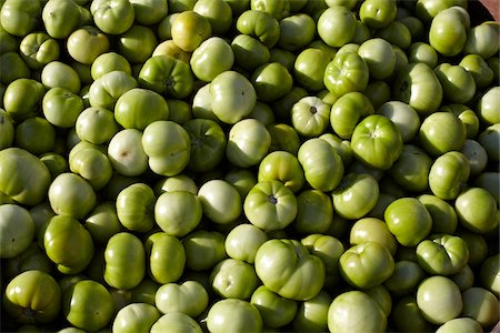 Tomates, Cawston, vert Similkameen Country, en Colombie-Britannique, Canada Photographie de stock - Premium Libres de Droits, Code: 600-05855136