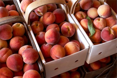 Fresh Harvested Peaches in Baskets, Hipple Farms, Beamsville, Ontario, Canada Foto de stock - Sin royalties Premium, Código: 600-05973023